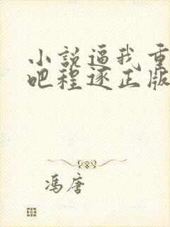 小说逼我重生是吧程逐正版