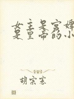 女主是宫婢男主是皇帝的小说