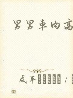 男男车肉高h文