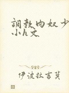 调教肉奴少司缘小h文