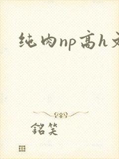 纯肉np高h文