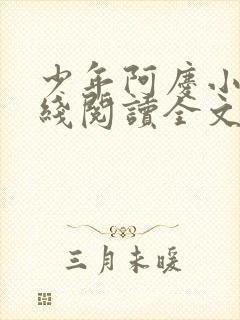 少年阿庆小说在线阅读全文