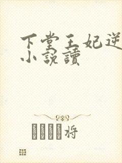下堂王妃逆袭记小说读