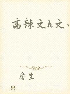 高辣文h文小说