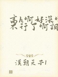 高h啊好深啊嗯不行了啊调教nph道具