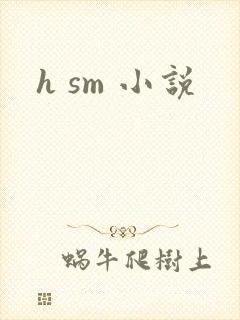h sm 小说