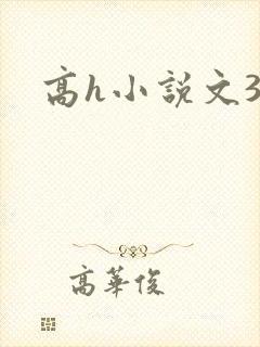 高h小说文3p