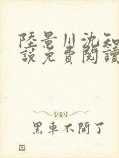 陆景川沈知意小说免费阅读全文最新章节