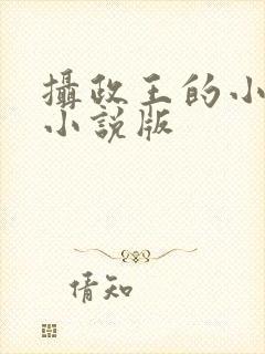 摄政王的小闲妻小说版
