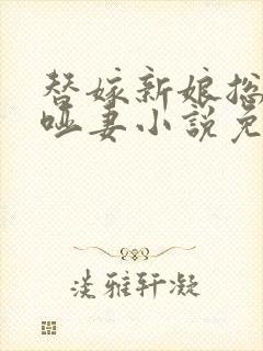 替嫁新娘总裁的哑妻小说免费封面