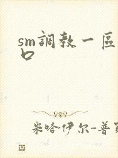 sm调教一区入口
