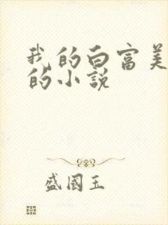 我的白富美老婆的小说