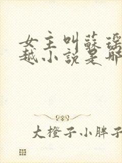 女主叫苏瑶的穿越小说是哪部小说