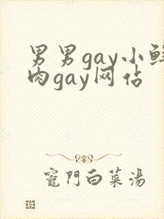 男男gay小鲜肉gay网站