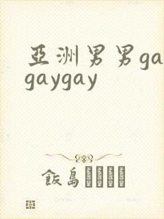 亚洲男男gaygaygay