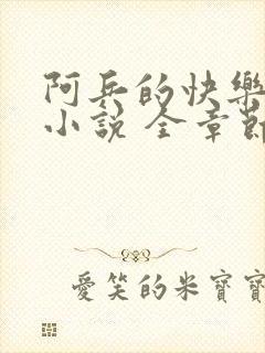 阿兵的快乐生活小说 全章节阅读免费