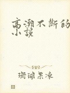 高潮不断的高h小说