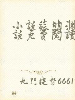 小说苏明渊的小说免费阅读无弹窗封面