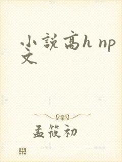 小说高h np文