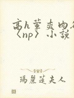 高h荤爽肉欲文〈np〉小说