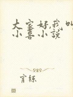 大家好,我叫林小喜小说