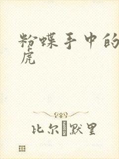 粉蝶手中的纸老虎