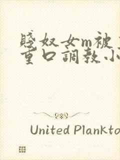 贱奴女m被主人重口调教小说