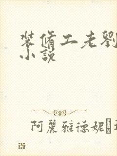 装修工老刘林雪小说