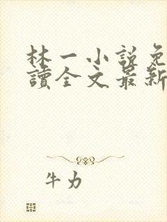 林一小说免费阅读全文最新章节