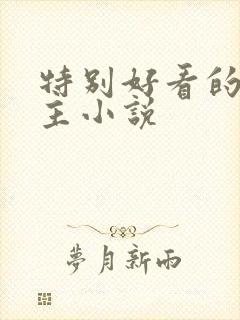 特别好看的双男主小说