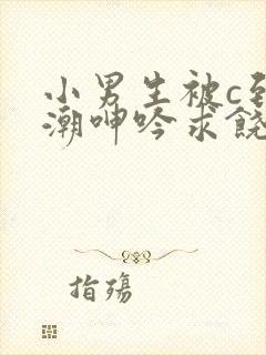 小男生被c到高潮呻吟求饶