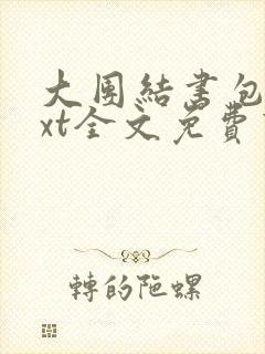 大团结书包网txt全文免费下载封面