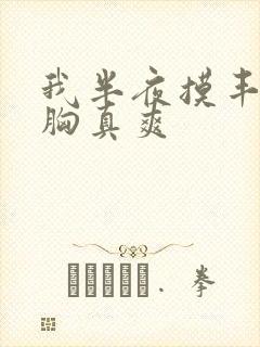 我半夜摸丰满的胸真爽