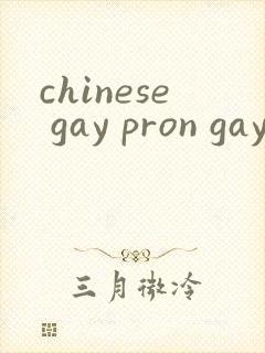 chinese gay pron gay