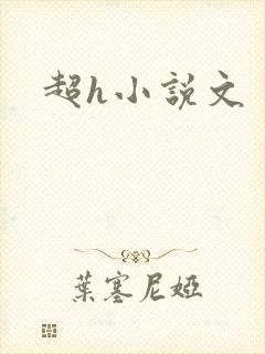 超h小说文