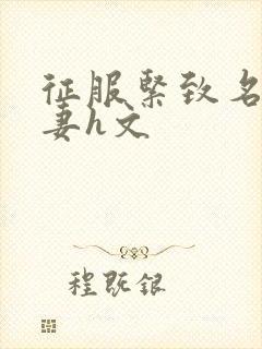 征服紧致名器人妻h文封面