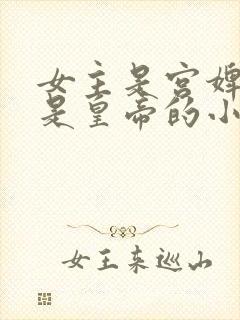 女主是宫婢男主是皇帝的小说