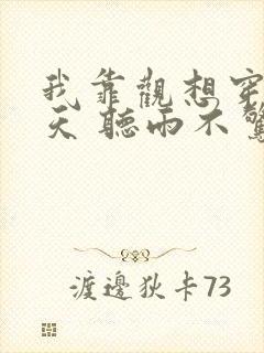 我靠观想穿越诸天 听雨不惊风