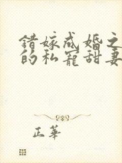 错嫁成婚之总裁的私宠甜妻免费下载封面