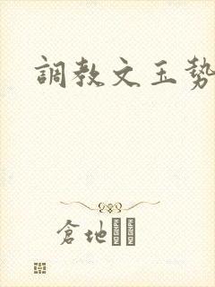 调教文玉势