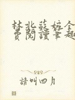 林北苏婉全文免费阅读笔趣阁