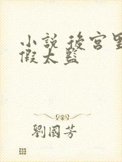 小说 后宫里的假太监