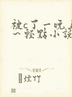 被c了一晚上啊～轻点小说