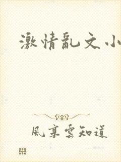 激情乱文小说