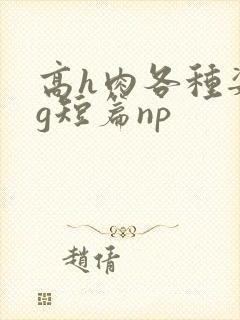 高h肉各种姿势g短篇np