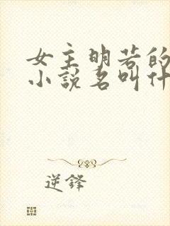 女主明若的穿越小说名叫什么