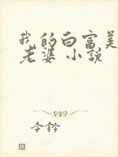 我的白富美总裁老婆 小说