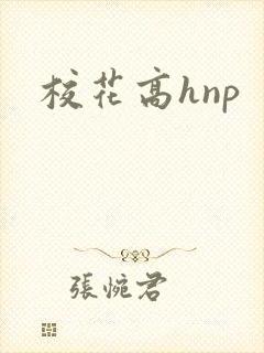 校花高hnp