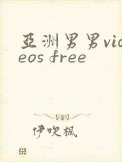 亚洲男男videos free