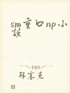 sm重口np小说